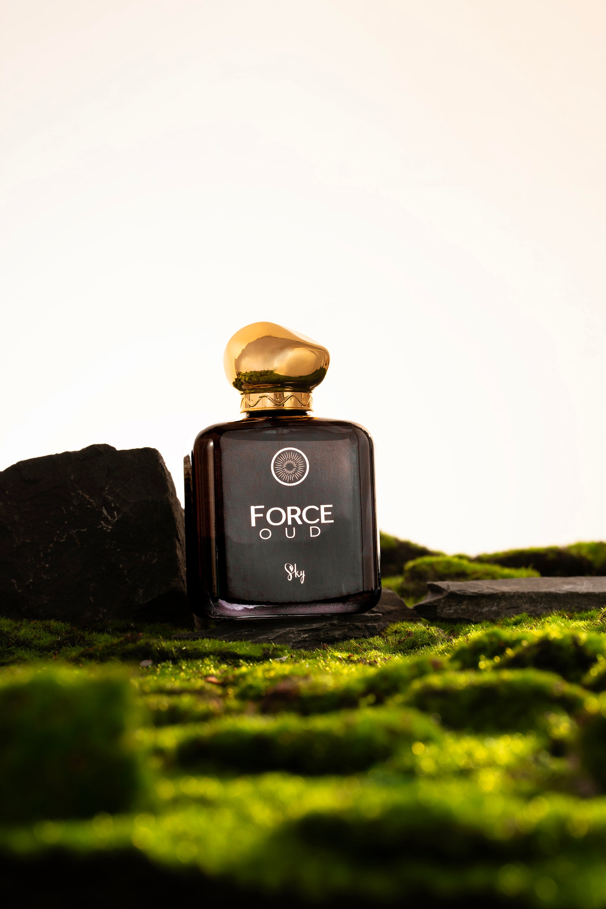 Force Oud - Inspired by Stronger With You Giorgio Armani